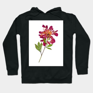 Watercolor botanical vintage Floral minimalist print 1 Hoodie